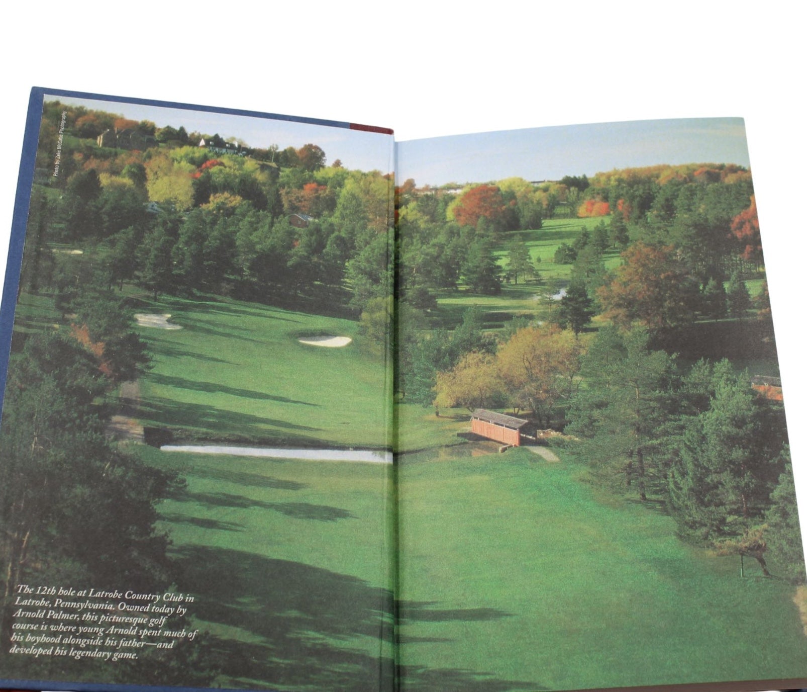 A Golfer's Life by Arnold Palmer and James Dodson, Signed by Palmer, First Edition, 1999 - The Great Republic