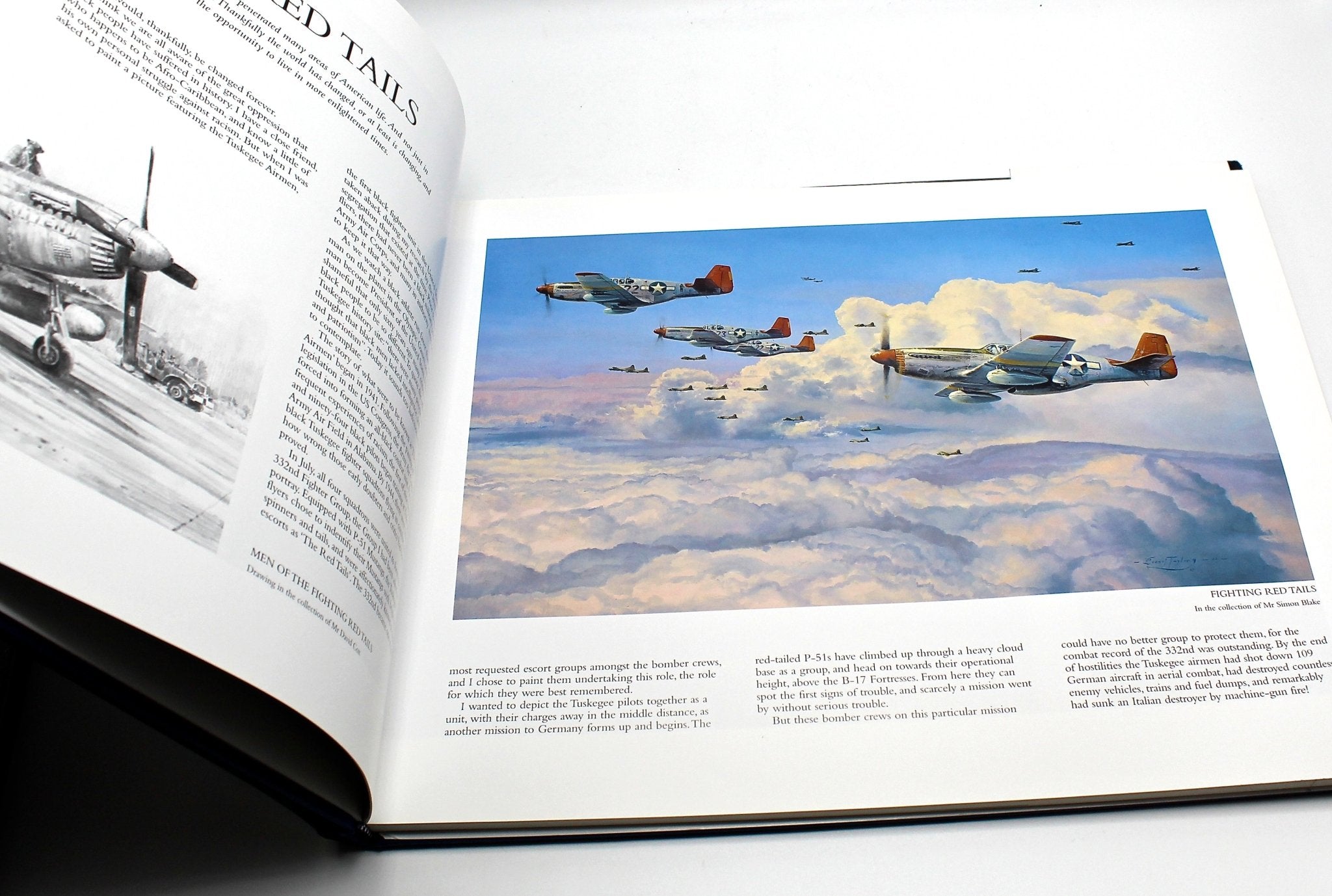 The Air Combat Paintings of Robert Taylor by Charles Walker and Robert  Taylor, Six Volume Set