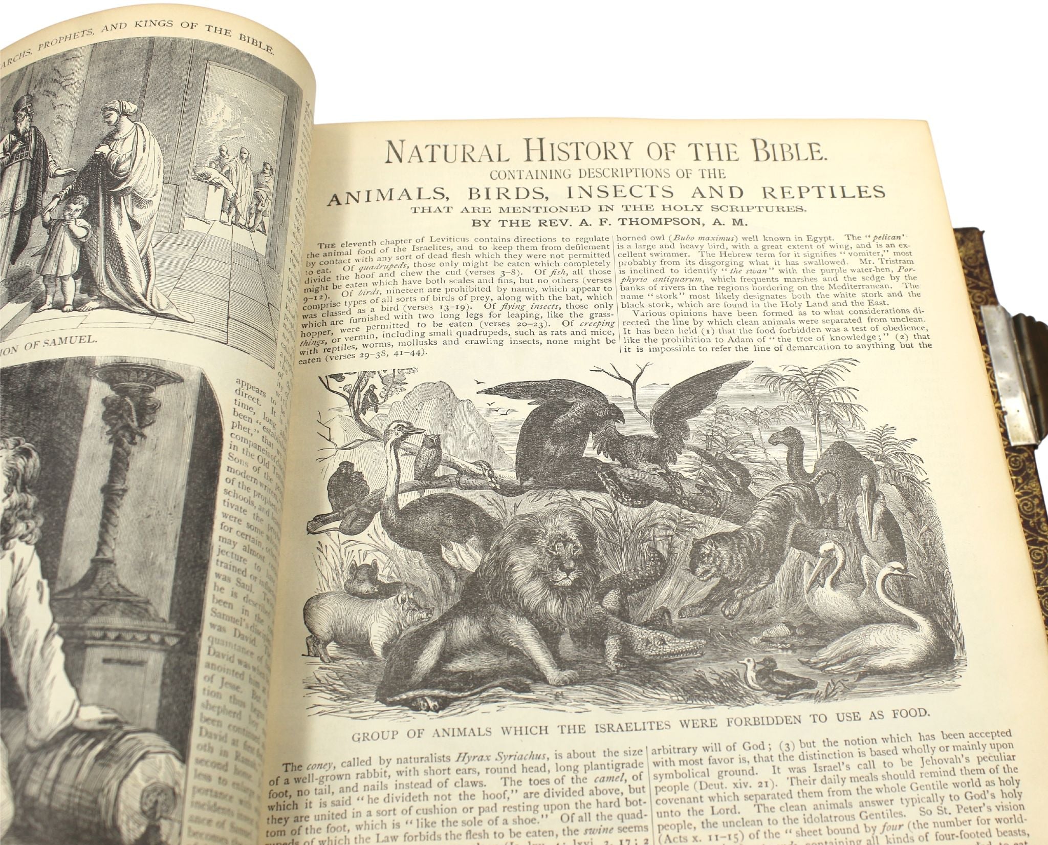 The Holy Bible, Containing the Old and New Testaments and Apocrypha, Standard Edition, Illustrated, 1885 - The Great Republic