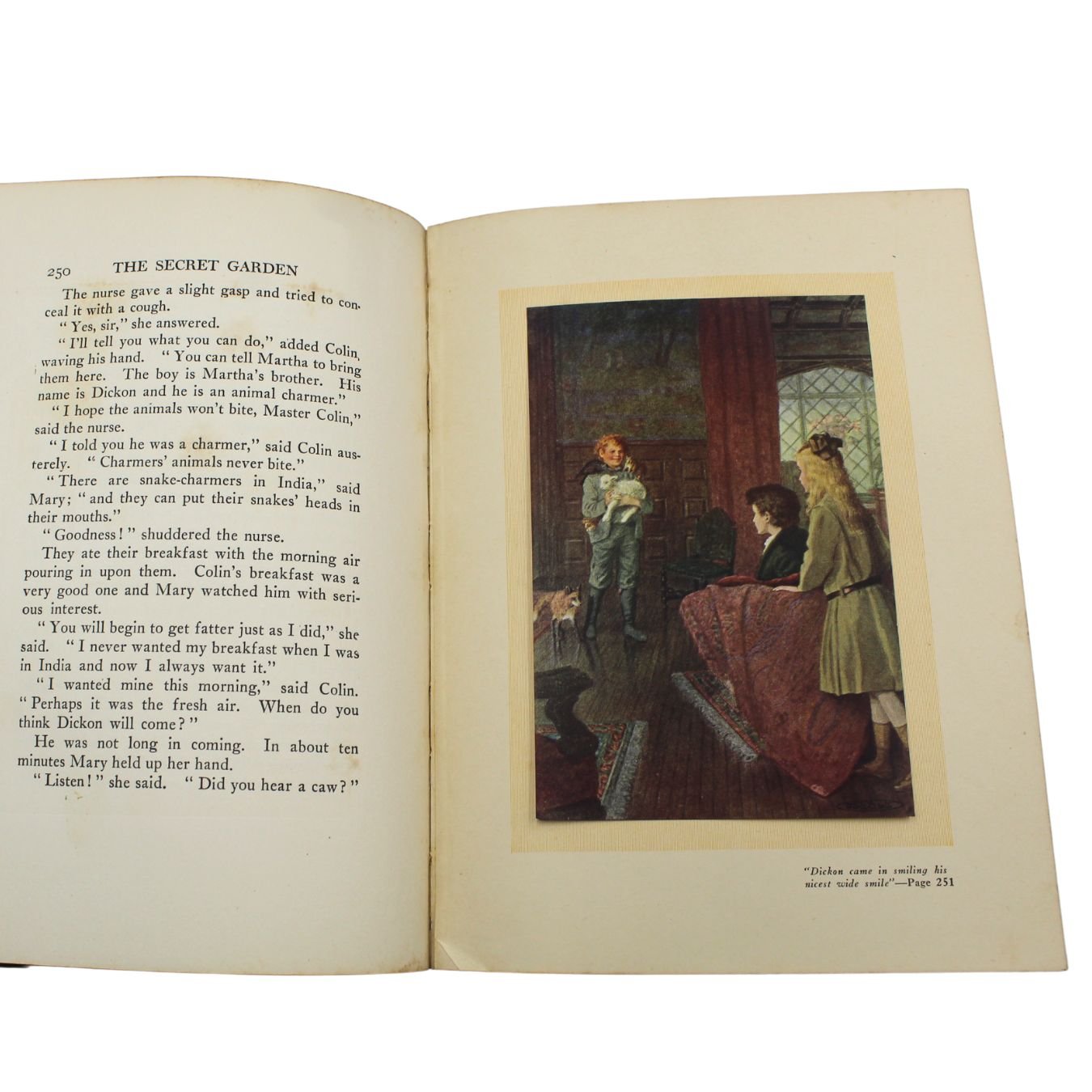 The Secret Garden by Frances Hodgson Burnett, Illustrated by Maria L. Kirk, Deluxe Illustrated Gift Issue, 1911 - The Great Republic